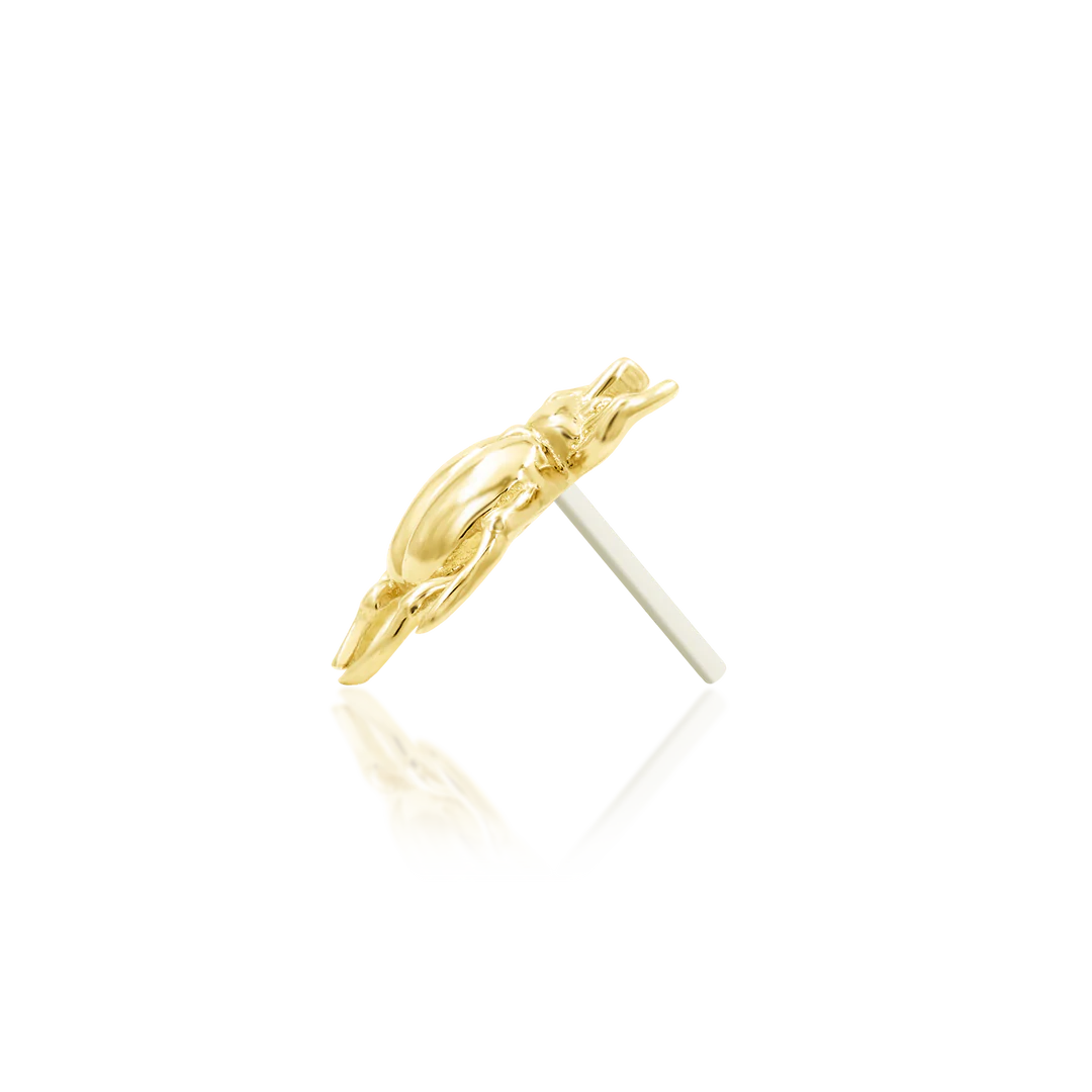 Junipurr - Rhino Beetle