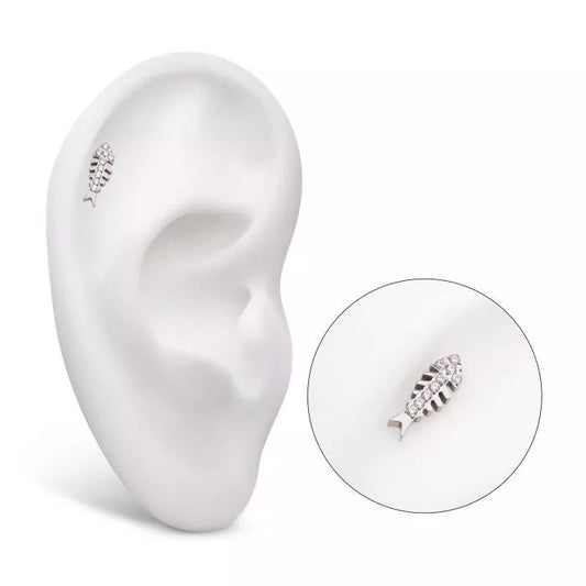 Invictus CZ Fish Top