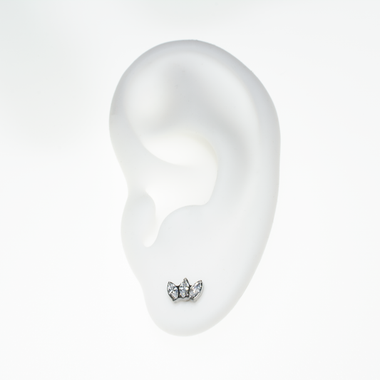 Invictus Marquise Fan Top