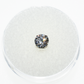 Neometal Prong CZ